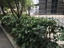 南滨路 次新小区 户型方正 生活配套齐全 业主诚心卖