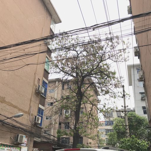 东福民小区1室1厅1卫东西朝向1000.00元/月出租