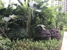 南滨路金辉品质小区,精装住家三房单卫,离轻轨站近