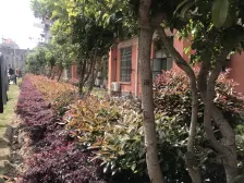 通河泗塘·通河七村·2室·2厅
