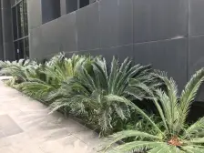 皇冠国际两房,精装修,看房方便