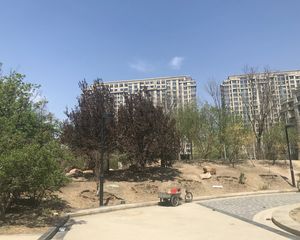 富力尚悦居D区3室1厅西南