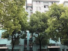 莘松中学商品房全明大一房一楼带超大花园
