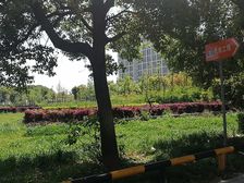 纯毛坯两房位于七层诚意出售看房方便