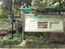 凤天路 幸福雅舍三房