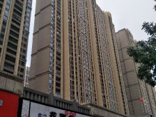 中海千灯湖花园 1座400方大户型 全新毛坯