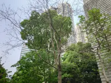 大宁·明园森林都市涵翠苑·3室·2厅