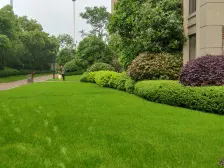 小区物业好,人车分流,出入方便,配套完善