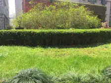 近向阳全屋精装修格力空调原始3房动静分离 实用性强