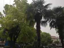 大开间,主卧朝南,交通便利,环境优美