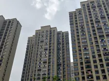 新力愉景湾 南北通透,采光好 视野好,诚心出售