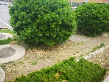 使用面积大 楼层好, 可用空间大,地角好