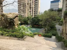 正规一室一厅,户型方正无浪费。证在手