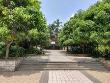 楼层好视野好 出行方便,交通方便,门口轻轨