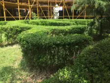 近向阳全屋精装修格力空调原始3房动静分离 实用性强