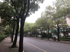 宝林二村 低楼层 双南全明 位置好 诚意出售