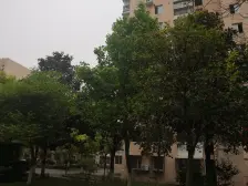 地杰没用!御桥双轨,看房方便,精装修,大一房