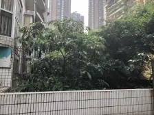 主城成熟区域,生活方便,单价总价都很便宜