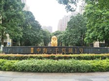 千灯湖一号 毛坯5房 自由装修 看房方便