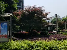 石桥铺 馨梦园三房72.7万