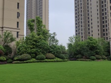 封闭式花园小区,小区配套齐全 户型方正 通透格局..