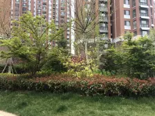 70年大产权 六联排别墅 带南北大院 带地下 带双车位