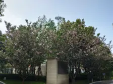 大宁·明园森林都市涵翠苑·3室·2厅