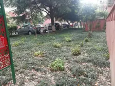 大三房 户型正气 中间位置 诚心出售 看房方便