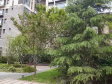 大宁 · 明园森林都市涵翠苑 · 3室 · 2厅