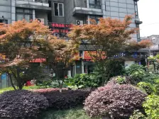 石桥铺 馨梦园三房57万