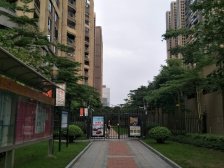 中海千灯湖一号 404方 全屋定制装修 带200方大平台