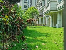 南门绿郡 5室2厅 南