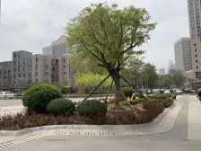 中山风景小,次新小区,产权房精装修,地角繁华