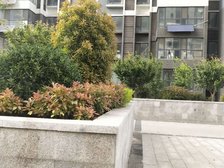 无遮挡采光好 房东诚心出售 相中房子价格可商议