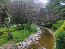 洸府河畔,精修三居室,小区生活方便