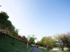 中泰财富湘江 2室1厅 南