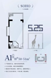 诚方创世纪广场建面50.00㎡