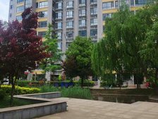 冠亚星城 顶层复式 精装修 带露台