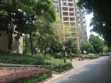 小区环境优美,交通方便,温馨,拎包入住