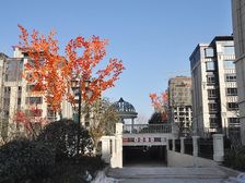 精品复式电梯洋房随时看房简单装修老证可按揭公积金