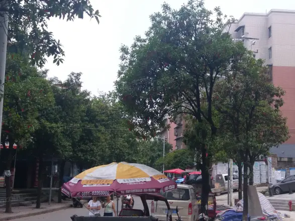 恒屹双子座
