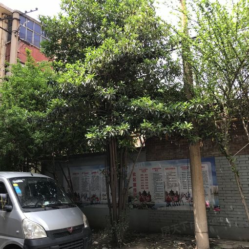 健康西路24号院2室1厅1卫南朝向600.00元/月出租
