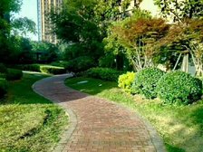 金色兰庭好楼层精装大两室 证满二诚心出售 看房方便