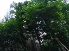 骑士郡 1室1厅 南