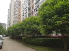 精装修电梯房,采光好楼层好,配套齐全,交通方便