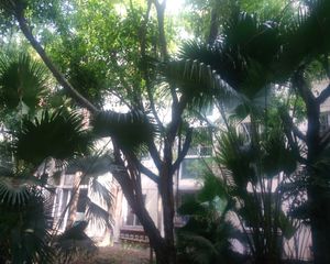 明珠怡园3室1厅北