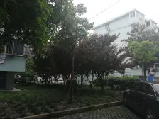 下楼尽是繁华 人民路步行街 百联购物 店长强推荐