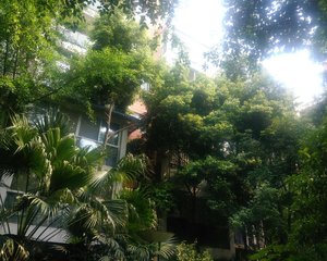 明珠怡园 3室2厅 南