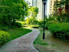 华都·金色兰庭2室1厅西