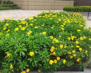 大源北一街25号2室1厅东